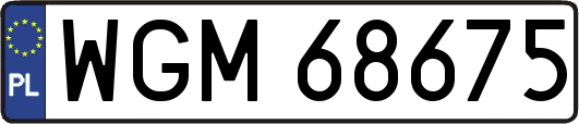 WGM68675