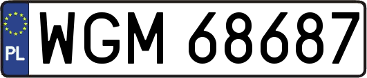 WGM68687