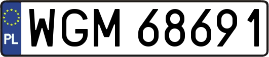 WGM68691