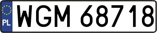 WGM68718