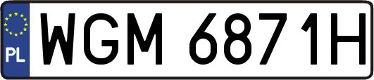 WGM6871H