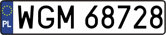 WGM68728
