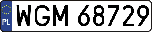 WGM68729