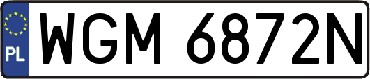 WGM6872N