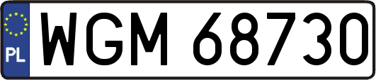 WGM68730