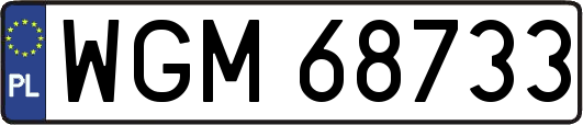 WGM68733