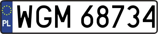 WGM68734