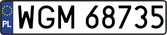 WGM68735