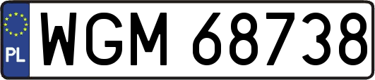 WGM68738