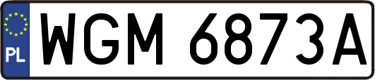 WGM6873A