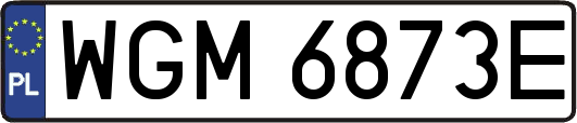 WGM6873E