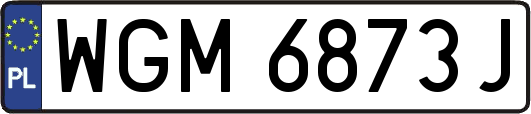 WGM6873J