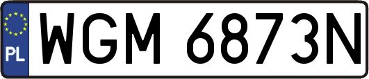 WGM6873N