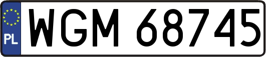 WGM68745
