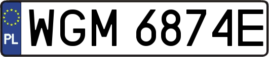 WGM6874E