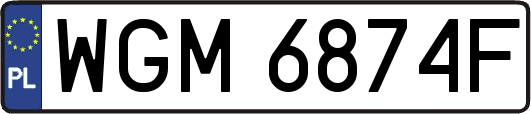 WGM6874F