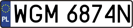 WGM6874N
