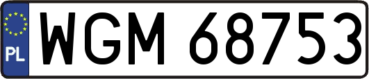 WGM68753
