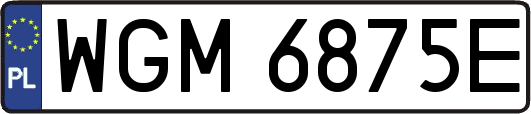 WGM6875E