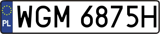 WGM6875H