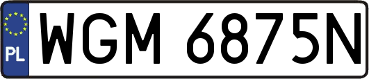 WGM6875N
