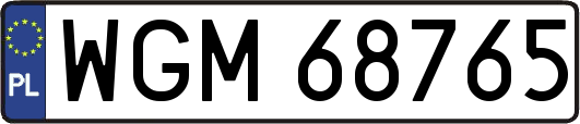 WGM68765
