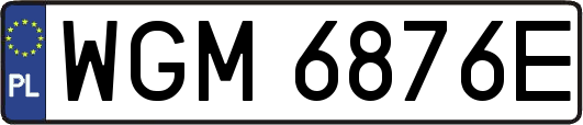 WGM6876E