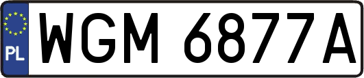 WGM6877A