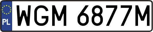 WGM6877M