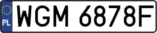 WGM6878F