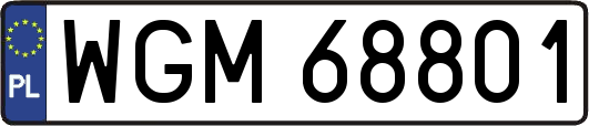 WGM68801
