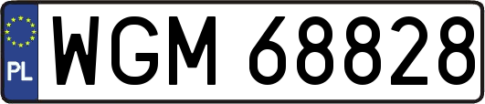 WGM68828