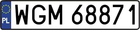 WGM68871