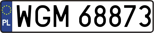 WGM68873