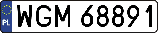 WGM68891