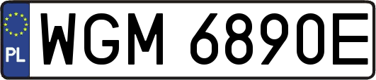 WGM6890E
