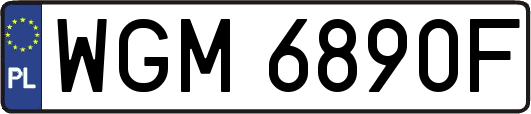 WGM6890F