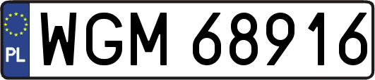 WGM68916