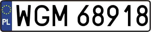 WGM68918