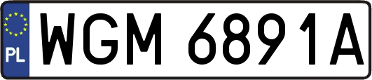WGM6891A