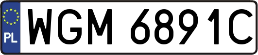 WGM6891C
