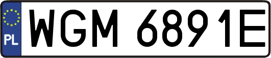 WGM6891E