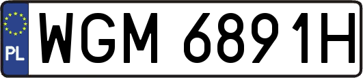 WGM6891H