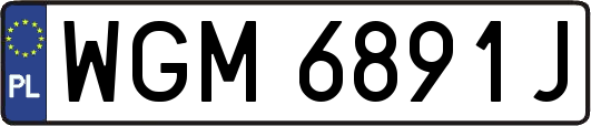 WGM6891J