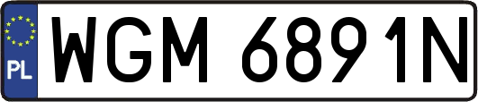 WGM6891N