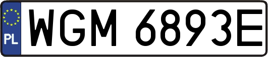 WGM6893E