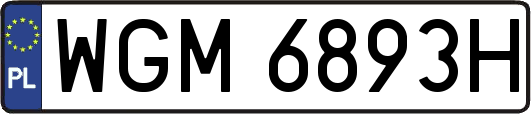 WGM6893H