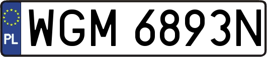 WGM6893N
