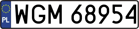 WGM68954