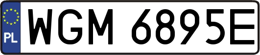 WGM6895E